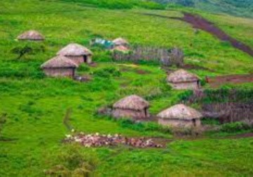 Tanzania Safari Tour