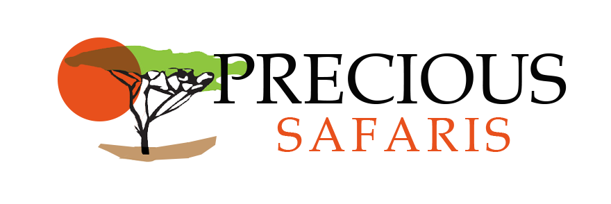 Tanzania Safari Tour