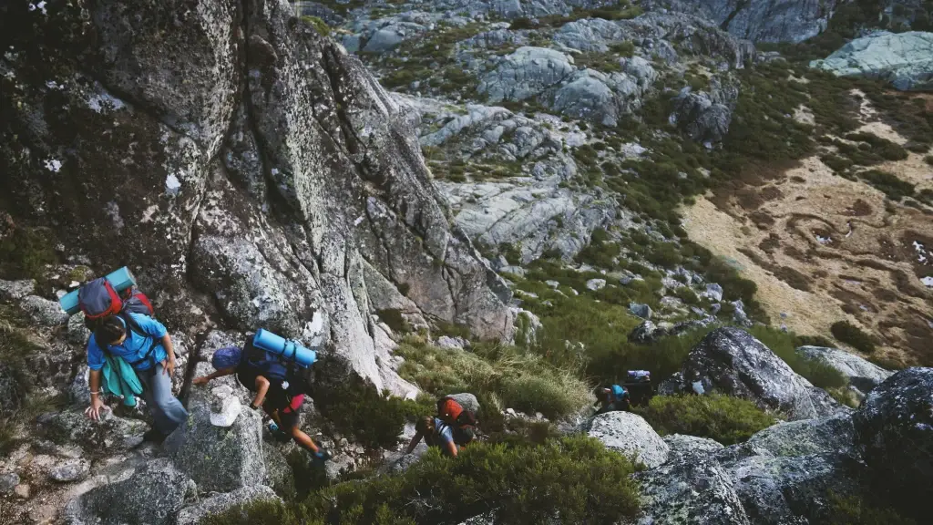 Title Preparing Physically for Kilimanjaro 2025: Essential Tips Description Discover essential tips for preparing physically for Kilimanjaro 2025 with Precious Safaris for a successful climb.